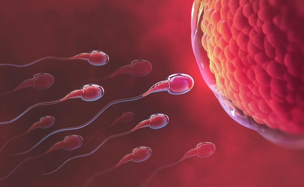 Male-infertility.jpg